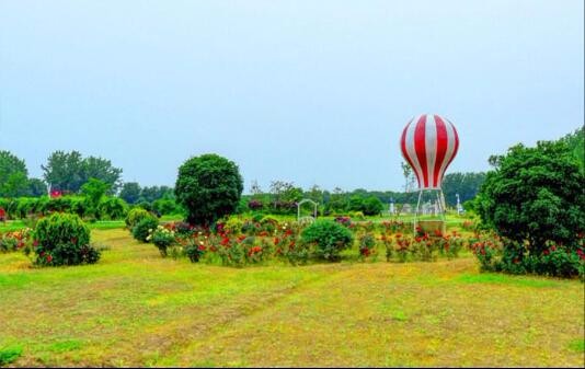開云手機(jī)登錄(中國(guó))有限公司官網(wǎng)